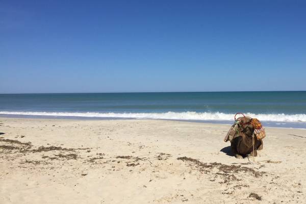 Las mejores playas de Túnez