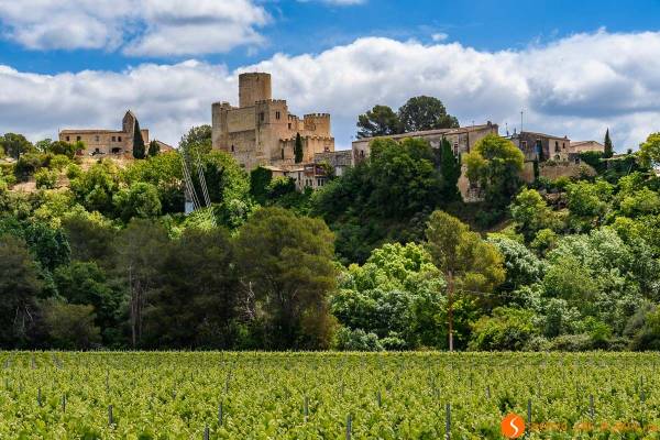 10 Planes geniales que hacer en el Penedés Catalán