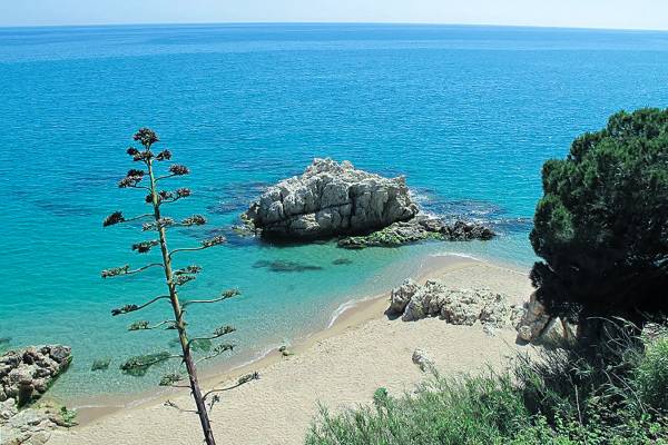 Playas,Calas y piscinas naturales de España