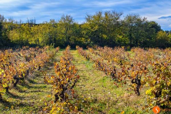 10 Planes geniales que hacer en el Penedés Catalán