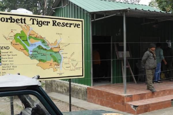 Safari en India: 3 días buscando tigres en Corbett