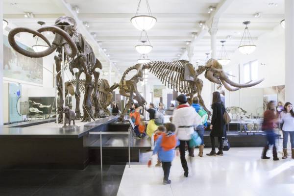 8 MUSEOS PARA NIÑOS EN NUEVA YORK