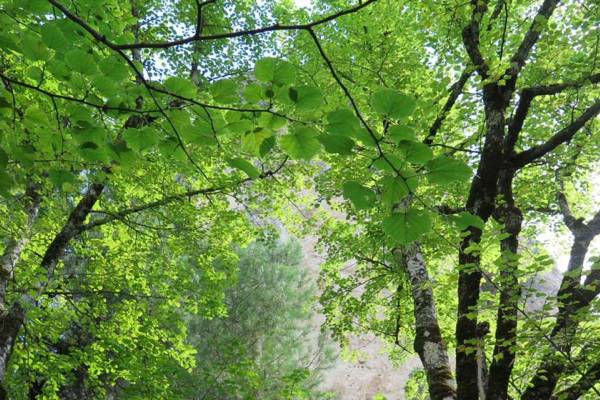 Hoz de Beteta. Tilos y cañones de vértigo