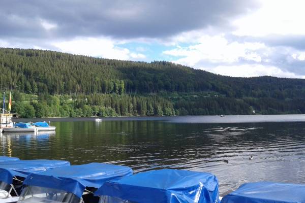 Lago Titisee Selva Negra