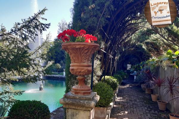 Penáguila y el Jardín de los Santos