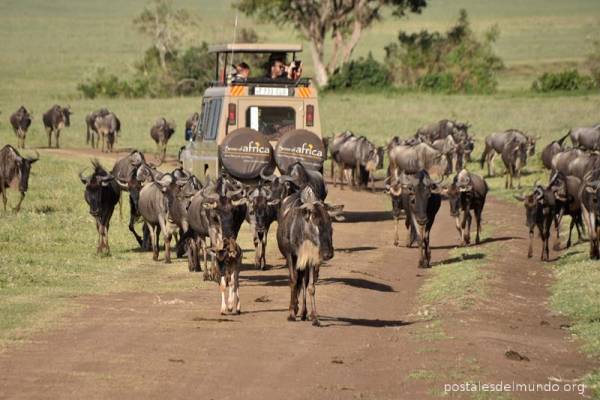 El cráter del Ngorongoro