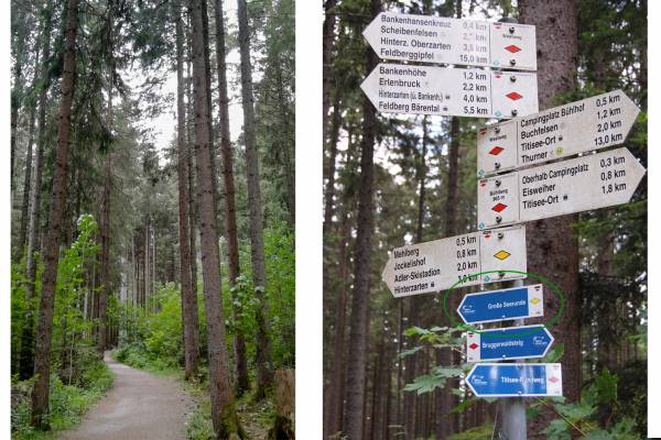 Lago Titisee Selva Negra